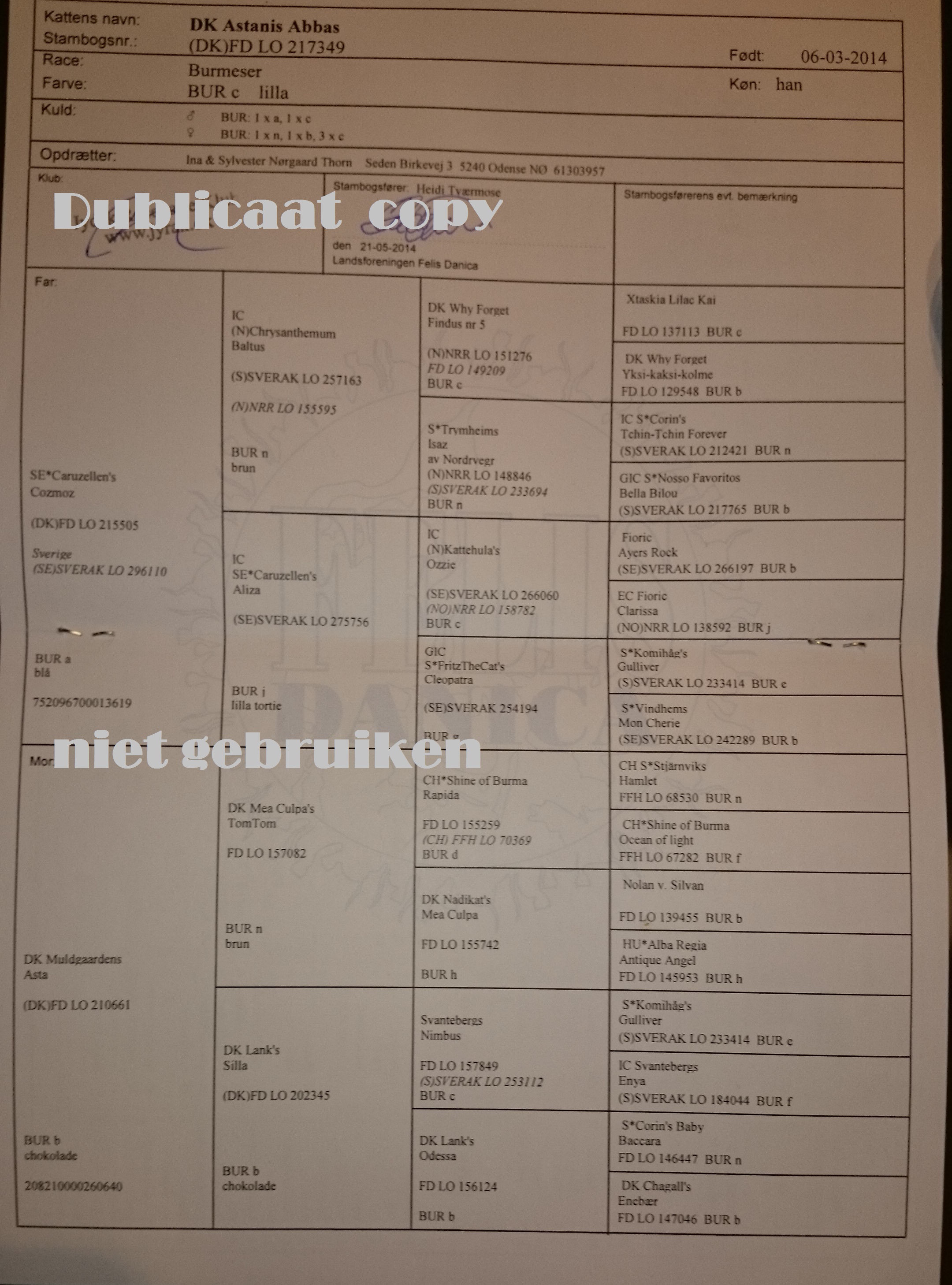 http://gibobriki.nl/lib/media/upload/image/psx_20141207_191812.jpg
